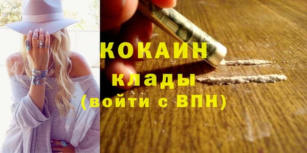 стаф Белоозёрский